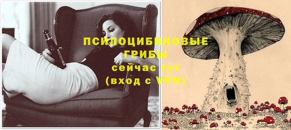 кокс Михайлов