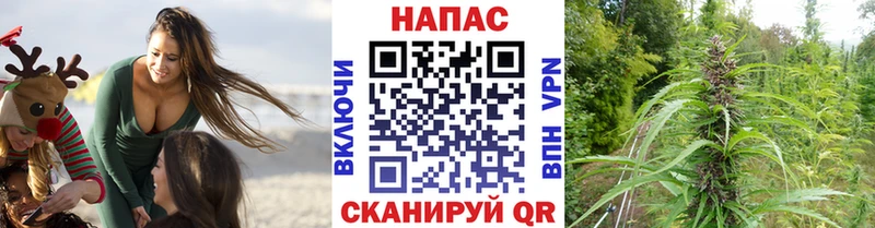 Купить где Абакан Бошки марихуана LSD WEED